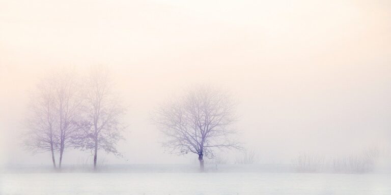 winter-landscape-trees-snow-2571788